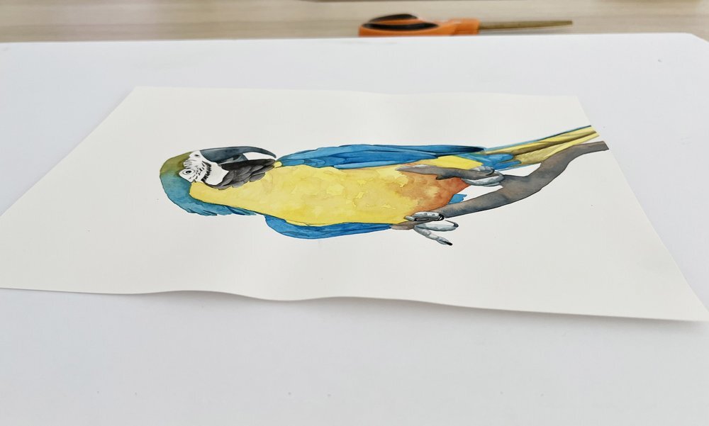 How To Stretch Watercolor Paper With Staples - Stretching Watercolour ...