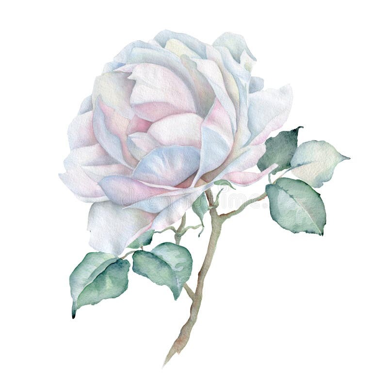 How to Paint Watercolor Roses - Easy Rose Watercolor Painting Tutorial How to Paint Watercolor Roses - Easy Rose Watercolor Painting Tutorial