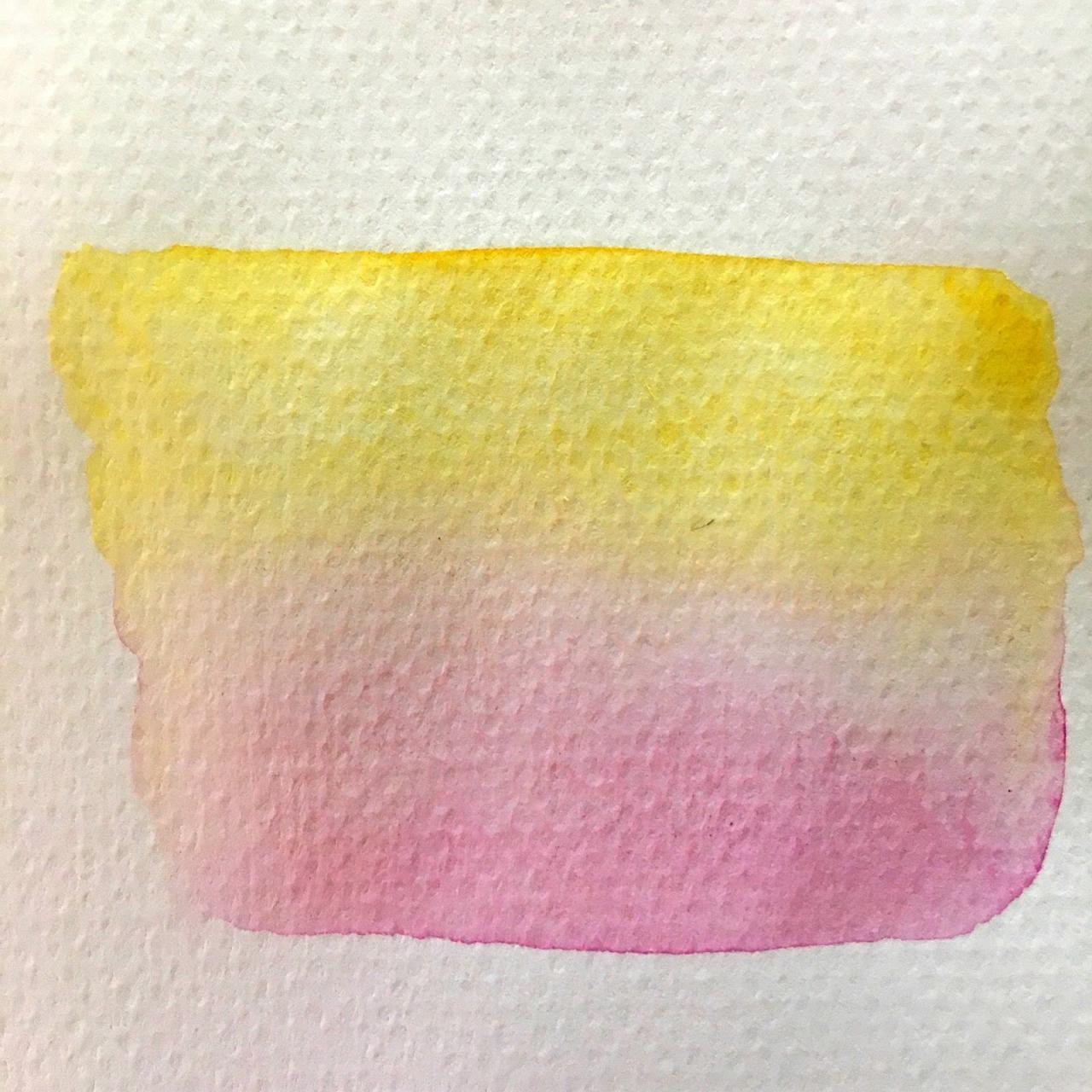 The Blooming Orchids: Basic Watercolor Washes Tutorial