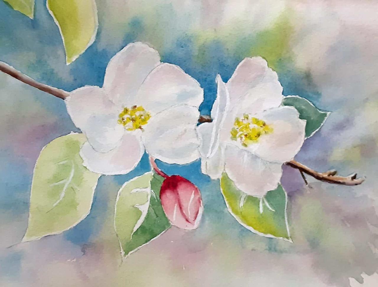 3 BASIC Watercolor Washes for Beginners – How to Do a Smooth Wash Every ...